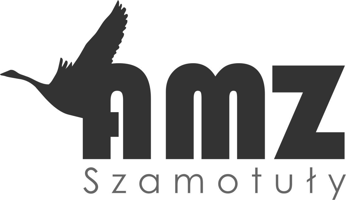 AMZ